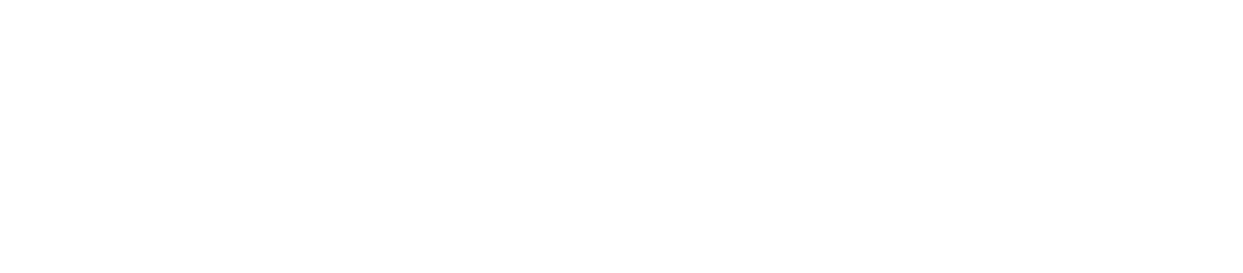 Ko-Finanzierungs Logo der EU